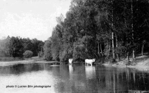 etang-chateau-folie-jpeg